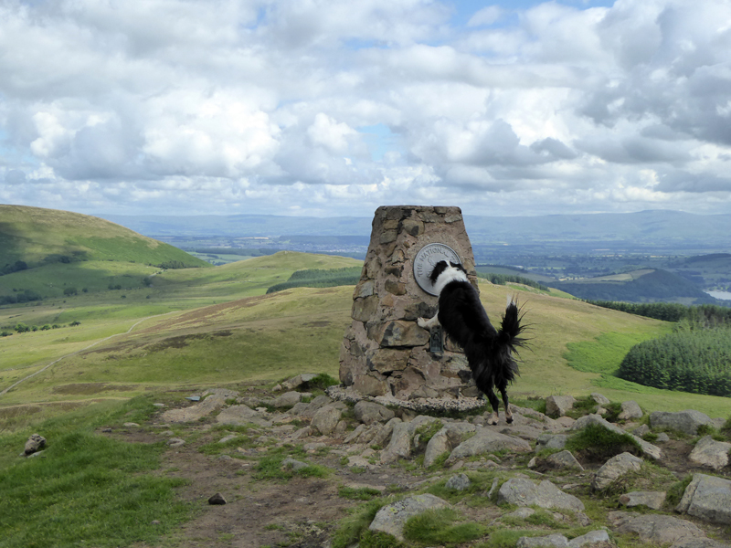 Gowbarrow Summit